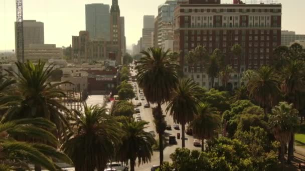洛杉矶威尔郡中心和棕榈树日落鹤向右射击 — 图库视频影像