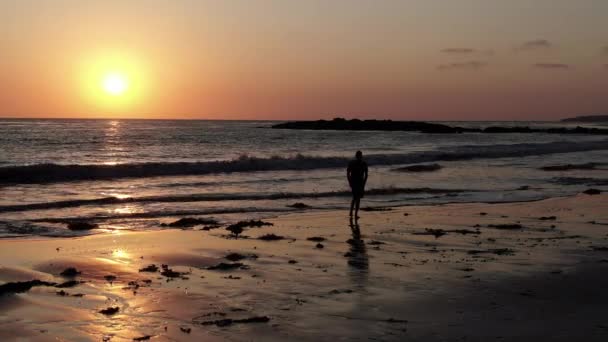 Palos Verdes Sunset Siluetleri Beyaz Nokta Plajı Nda Dolly Crane — Stok video