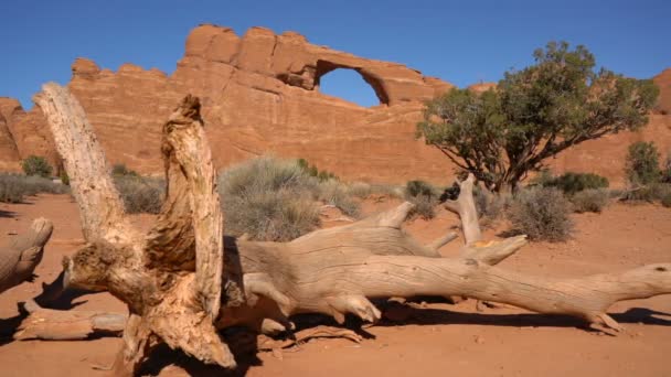 Festői Felvétel Gyönyörű Arches National Park Egyesült Államok — Stock videók