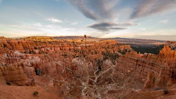 Scenic Footage Beautiful Bryce Canyon United States — Stock Video