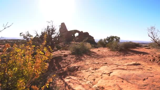 Parque Nacional Arches Torreta Arco Utah — Vídeo de stock