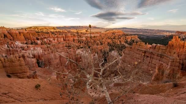 Scenic Footage Beautiful Bryce Canyon United States — Stock Video