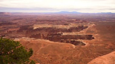 Canyonlands Ulusal Parkı Grand View Point Utah