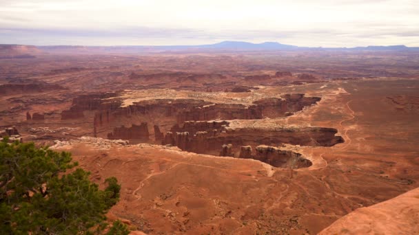 Canyonlands Εθνικό Πάρκο Grand View Point Γιούτα — Αρχείο Βίντεο