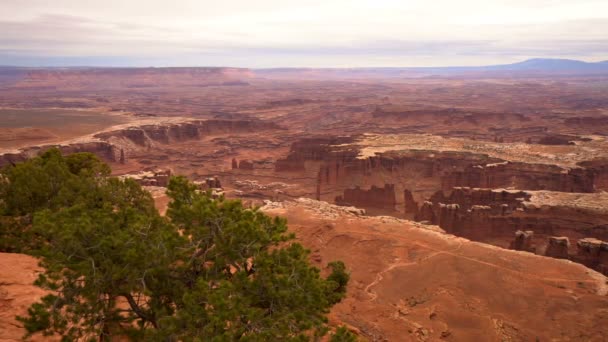 Canyonlands National Park Grand View Point Utah — Stock Video