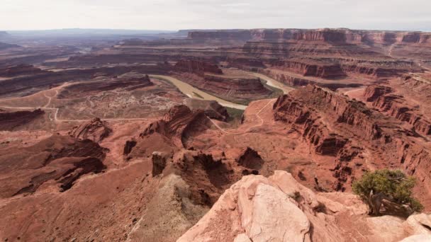 Dead Horse Point Colorado River Time Lapse Utah — Stockvideo