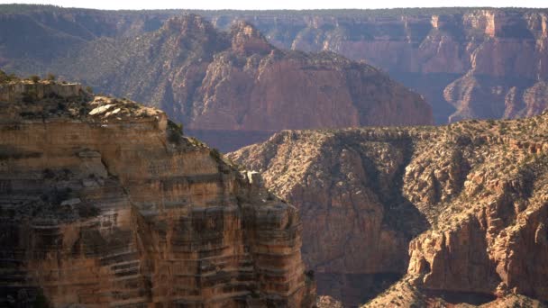 Grand Canyon South Rim Moran Point — Video Stock