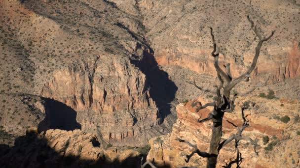 Grand Canyon South Rim Moran Point — Stock Video