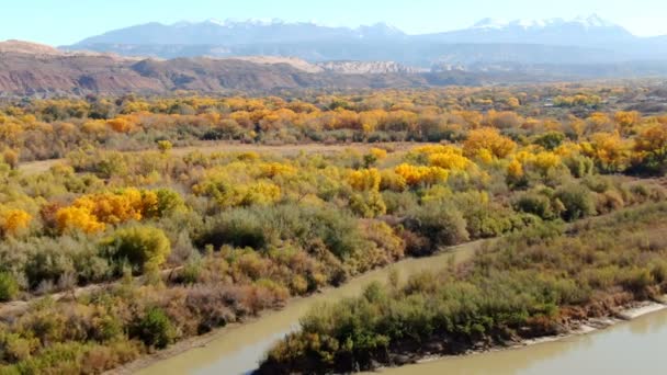 Autumn Foliage Colorado River Aerial Shot Utah — Stock Video