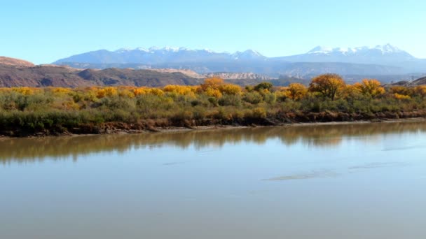 Hösten Foliage Längs Colorado River Antenn Skott Utah — Stockvideo