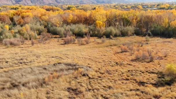 Φθινόπωρο Foliage Sal Βουνά Moab Γιούτα Aerial Shot — Αρχείο Βίντεο