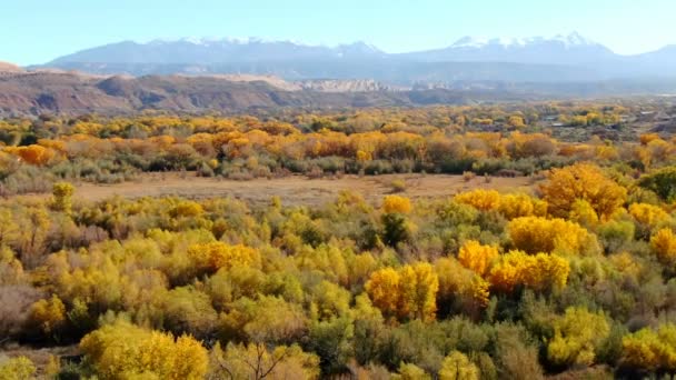 Herfst Gebladerte Sal Gebergte Moab Utah Luchtfoto — Stockvideo