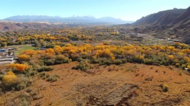 Moab Utah 'ta Sonbahar Yeşillikleri La Sal Dağları