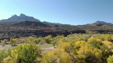 Sonbahar Yeşilliği Virgin Nehri boyunca Zion Ulusal Parkı yakınlarında çekildi