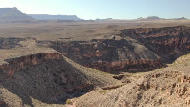 Virgin River Canyon Tiro Aéreo Perto Zion National Park Utah — Vídeo de Stock