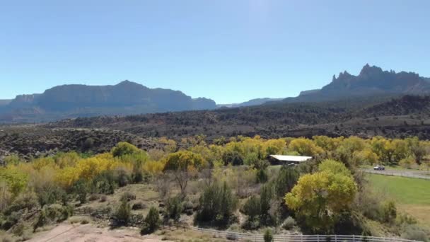 Jesienne Liści Wzdłuż Virgin River Strzał Powietrza Pobliżu Zion National — Wideo stockowe