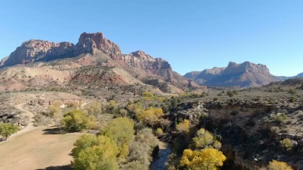 Zion Ulusal Parkı Sonbahar Yeşilliği Bakire Nehri Boyunca Utah Hava — Stok video