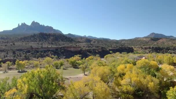 Herfst Loof Langs Virgin River Luchtfoto Buurt Van Zion National — Stockvideo