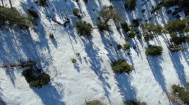 Kaliforniya 'daki Karlı Alp Ormanı Havadan Kuş Gözü Görünümü