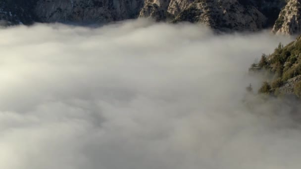 Sea Clouds Snow Covered Mountain Peaks Strzał Powietrza Kalifornii — Wideo stockowe