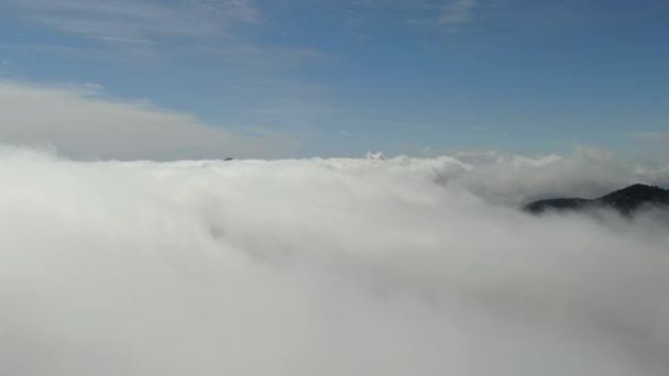 雲の海の上を飛行ショット — ストック動画