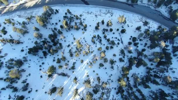 Vista Aérea Del Ojo Pájaro Del Bosque Alpino Cubierto Nieve — Vídeo de stock