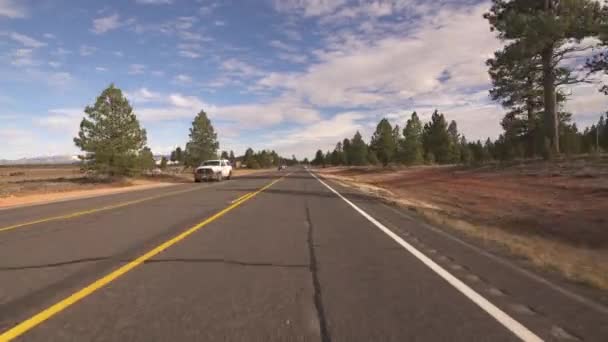 Bryce Canyon Highway Πρότυπο Οδήγησης Γιούτα Ηπα Δάσος — Αρχείο Βίντεο