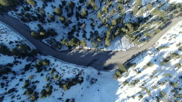 Aerial Bird Eye View Snow Covered Alpine Forest California Usa — Stock video