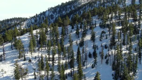 Colpo Aereo Stazione Sciistica Vuota Foresta Alpina California Usa — Video Stock