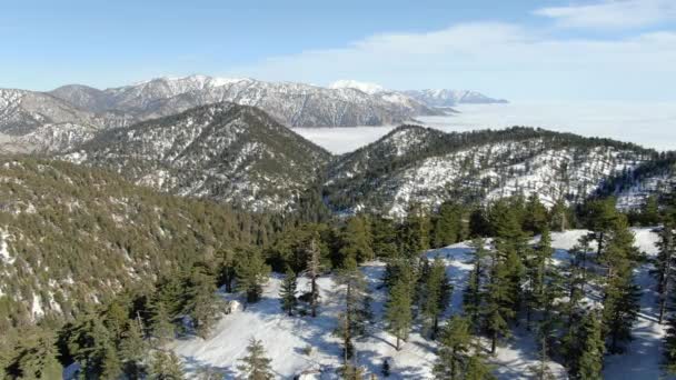 加利福尼亚左边雪盖冬山峰与云彩景观的空中射精 — 图库视频影像