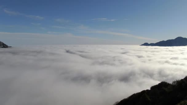 Aerial Shot Sea Clouds Mountain Peaks California Usa Forward — стокове відео