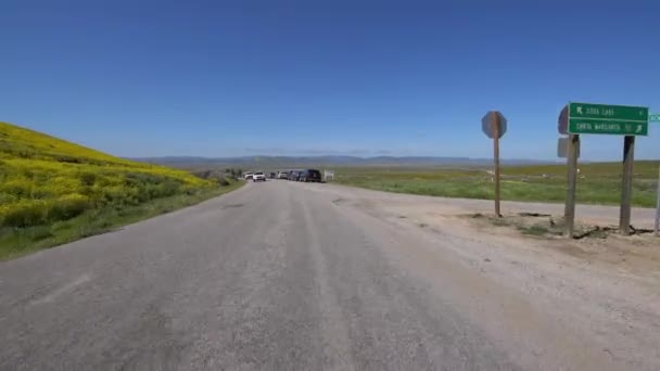 Carrizo Plain Miles Road California Super Bloom Driving Plate Usa — стокове відео