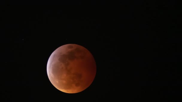 Totaal Maansverduistering 2019 Super Blood Wolf Moon Time Lapse Astrofotografie — Stockvideo