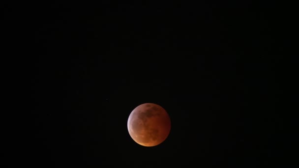 Загальне Місячне Затемнення 2019 Super Blood Wolf Moon Time Lapse — стокове відео