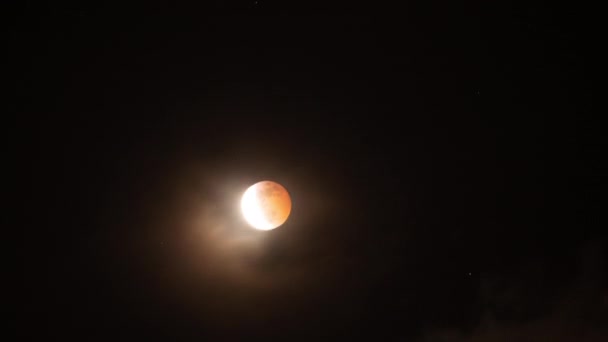 皆既月食2019スーパーブラッドウルフムーンタイムラプス天体写真撮影終了 — ストック動画