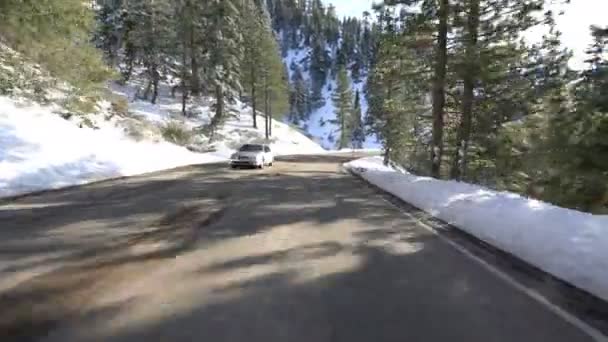 Winter Snow Mountain Highway Driving Plate Frontansicht Kalifornien Usa — Stockvideo