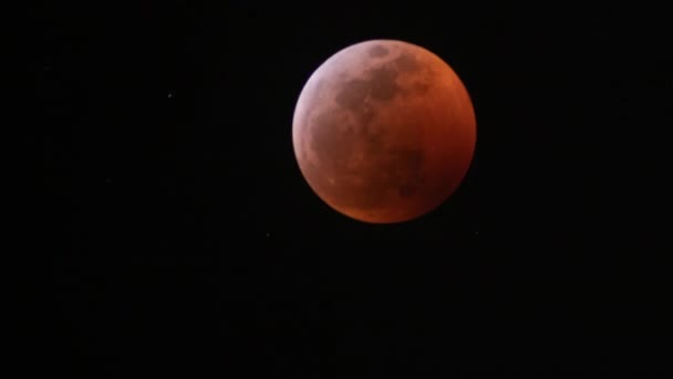 Eclipse Lunar Total 2019 Super Blood Wolf Moon Time Lapse — Vídeo de Stock