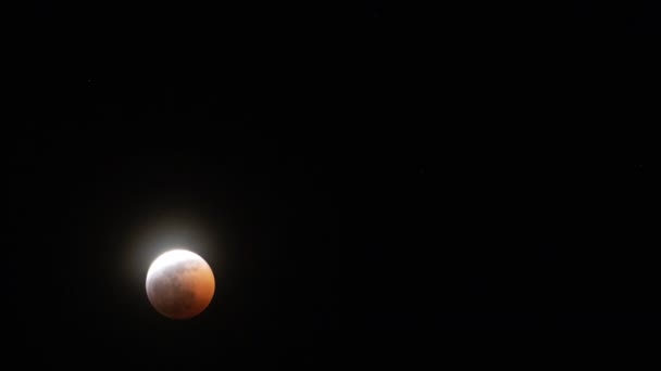 Totale Mondfinsternis 2019 Superblut Wolf Moon Zeitraffer Astrofotografie Nahaufnahme — Stockvideo