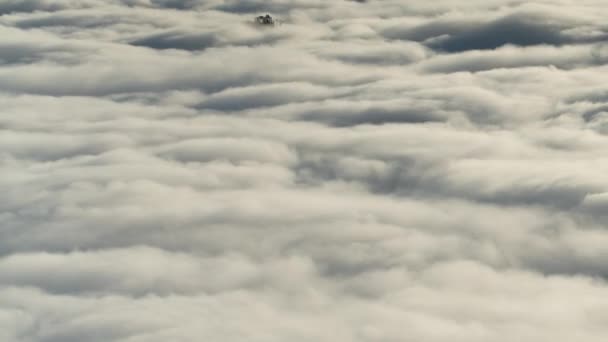 리포오니아 산속의 통과하는 구름의 — 비디오