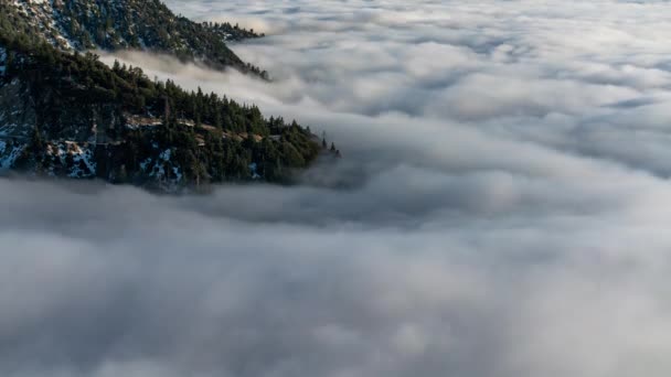 Snow Covered Alpine Mountain Forest Sea Clouds Time Lapse Kalifornii — Wideo stockowe