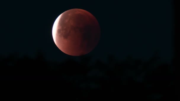 Загальне Місячне Затемнення 2018 Super Blue Blood Time Lapse Астрофотографія — стокове відео