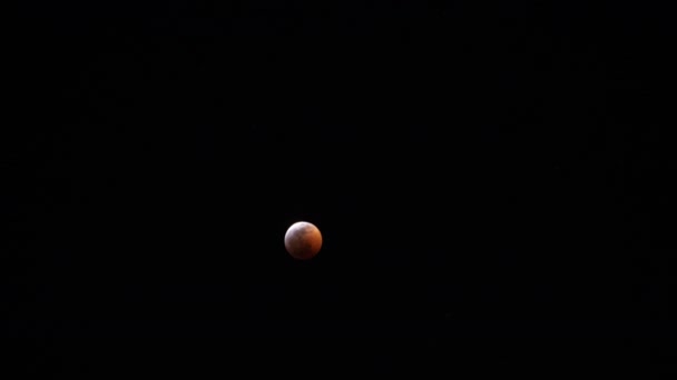 Eclissi Lunare Totale 2019 Super Sangue Lupo Luna Time Lapse — Video Stock