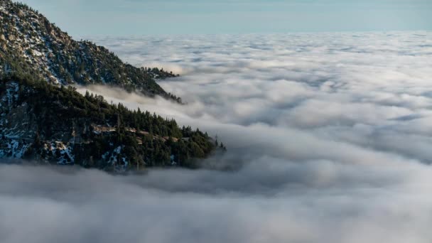 積雪情報Alpine Mountain Forest Sea Cloud Time Lapse California Usa — ストック動画