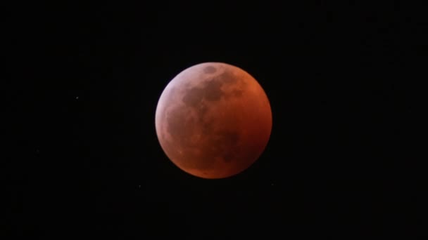 Total Lunar Eclipse 2019 Super Blood Wolf Luna Time Lapse — Video Stock