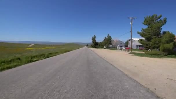 Carrizo Plain Miglia Road California Super Bloom Driving Plate Usa — Video Stock