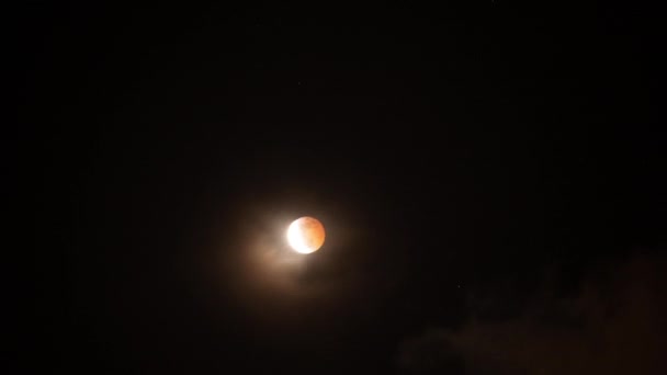 Загальне Місячне Затемнення 2019 Super Blood Wolf Moon Time Lapse — стокове відео