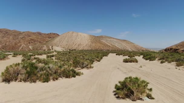 ドローン4Wdによる運転テンプレート Sandy Desert Dirt Road Mojave California Bushs — ストック動画