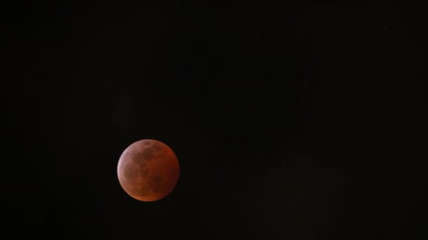 Eclipse Lunar Total 2019 Super Blood Wolf Moon Time Lapse — Vídeo de Stock