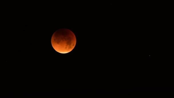 Total Lunar Eclipse 2018 Super Blue Blood Moon Time Lapse — Stock Video