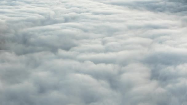 Wolkenmeer Über Dem Tiefen Wald Zeitraffer Kalifornien Usa Nahaufnahme — Stockvideo